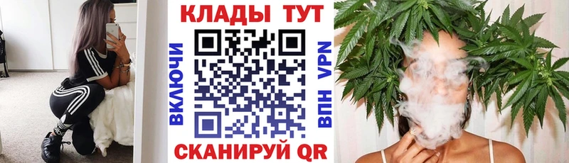 Купить наркотики Звенигово Кодеин  Псилоцибиновые грибы  ГАШ  Марихуана  КОКАИН  APVP 