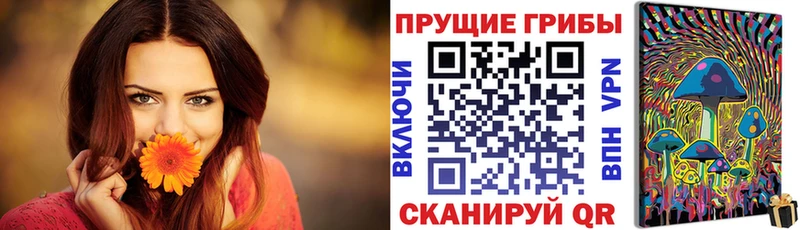 Псилоцибиновые грибы GOLDEN TEACHER  купить   Звенигово 